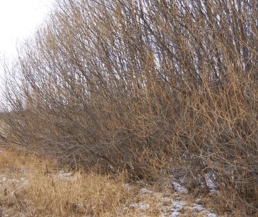 11_mp01_1.png_product