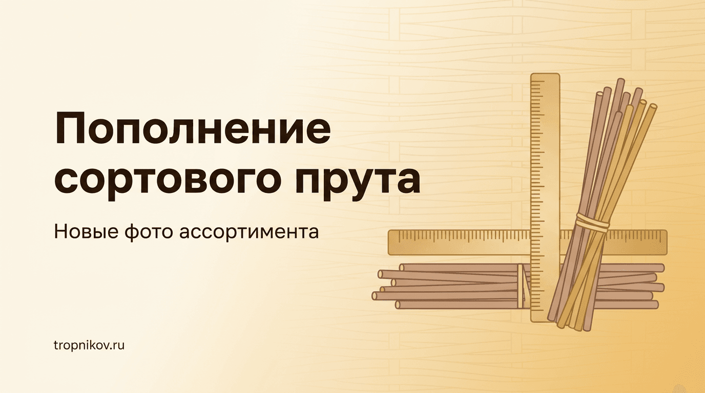 Пополнение сортового ивового прута — новые фото ассортимента