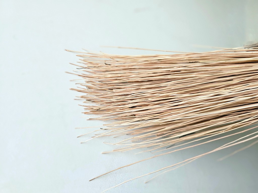 Тонкий сортовой ивовый прут